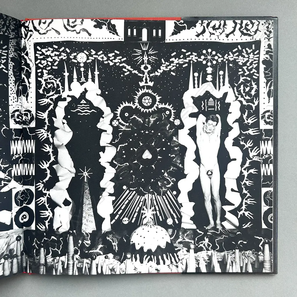 STEVEN ARNOLD: EPIPHANIES Image 1++